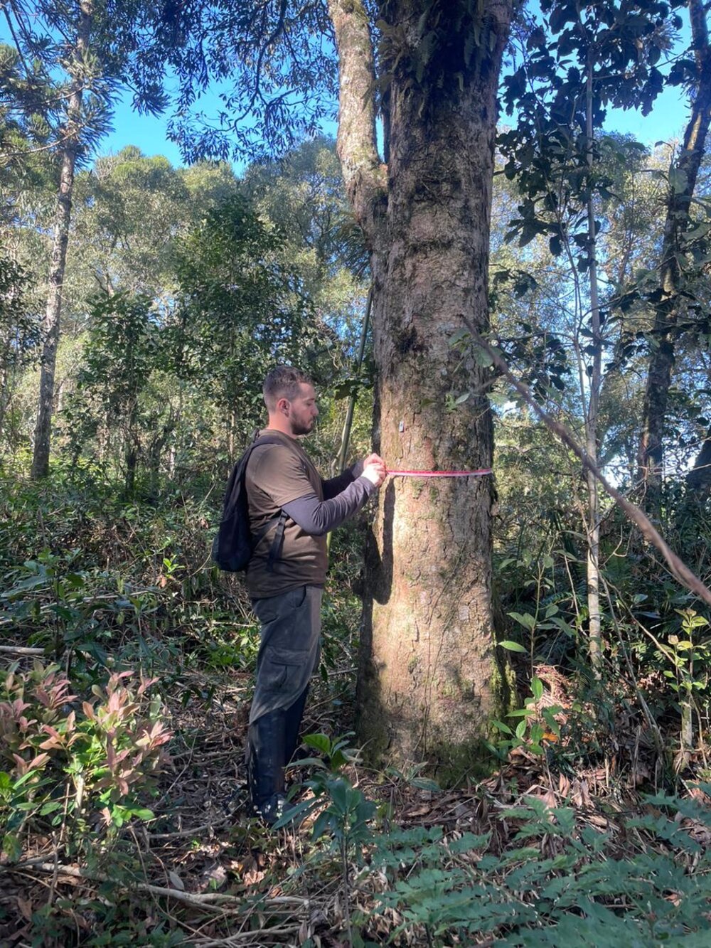 Rhuan Krüger realizando inventário florestal em campo