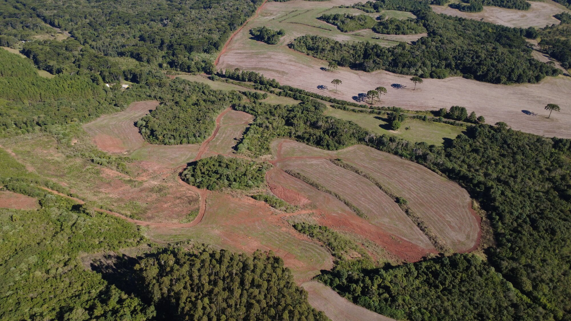 Área de intervenção ambiental vista do alto, solo exposto entre remanescentes de mata nativa