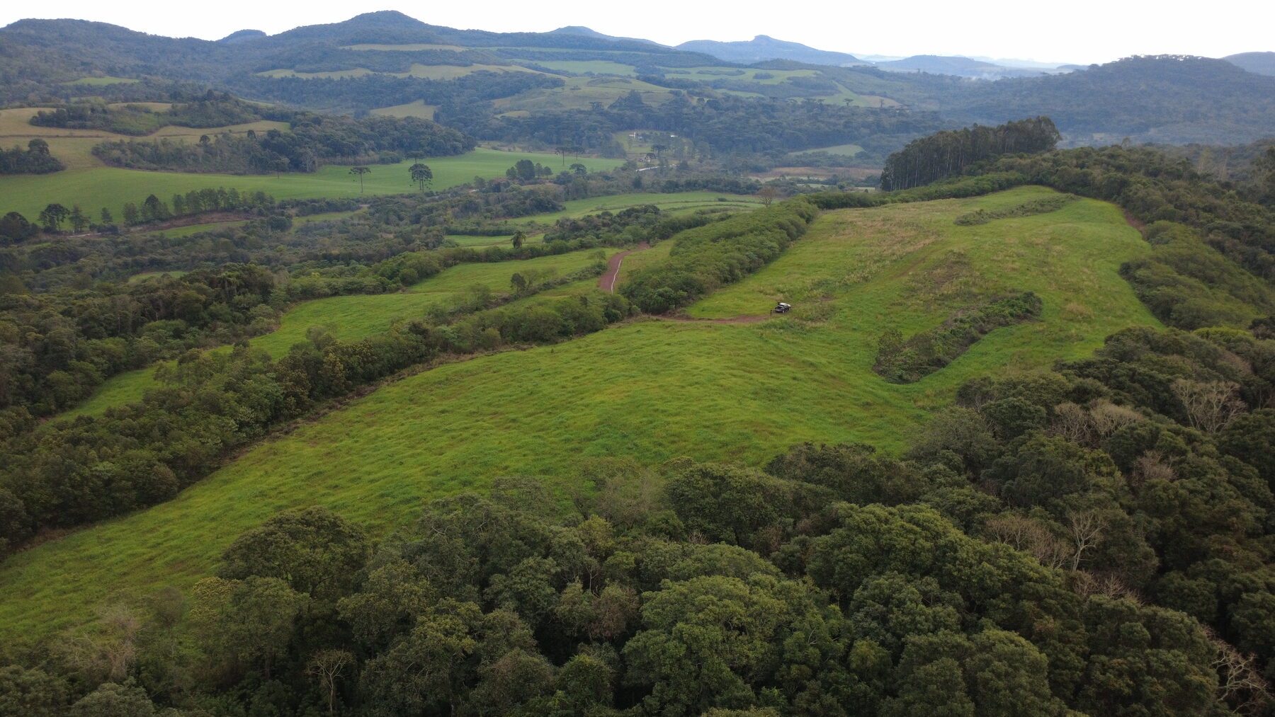 Vista aérea de relevo rural com pastagem e remanescentes de mata